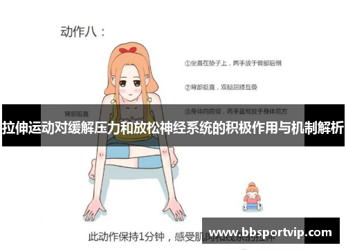 拉伸运动对缓解压力和放松神经系统的积极作用与机制解析